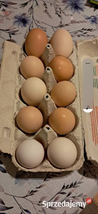 Sprzedam jajka wiejskie Ropa