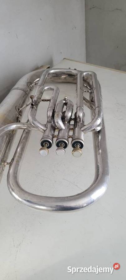Euphonium Lignatone Bąków