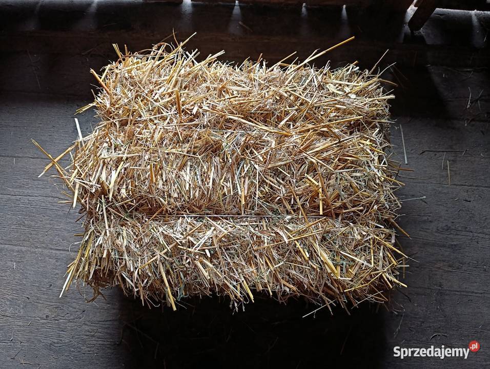 Słoma w kostkach 2025 małopolskie Klecza Dolna