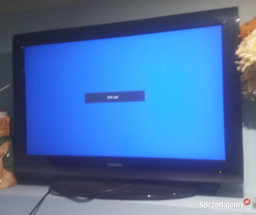 Telewizor plazmowy Panasonic TXP37X10Y zachodniopomorskie Dolsk