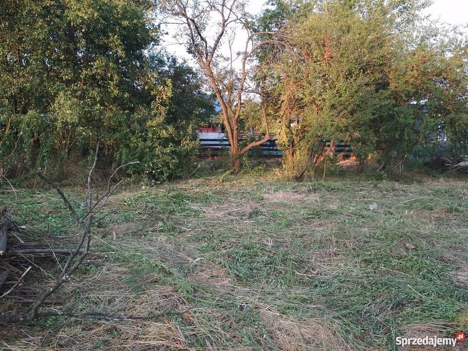 ogródek działka ROD