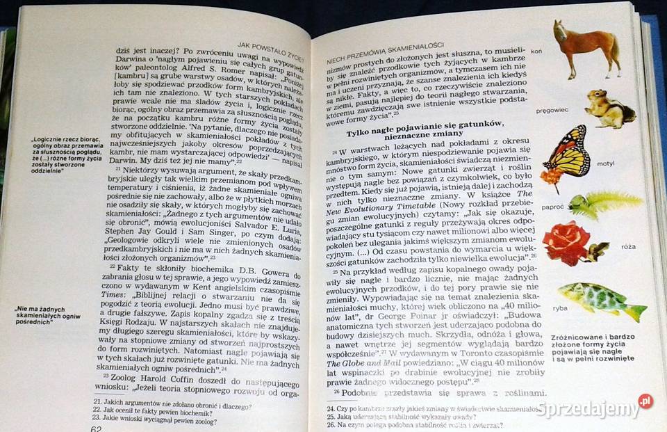 powstało życie ewolucję czy stwarzanie Praca Chełm
