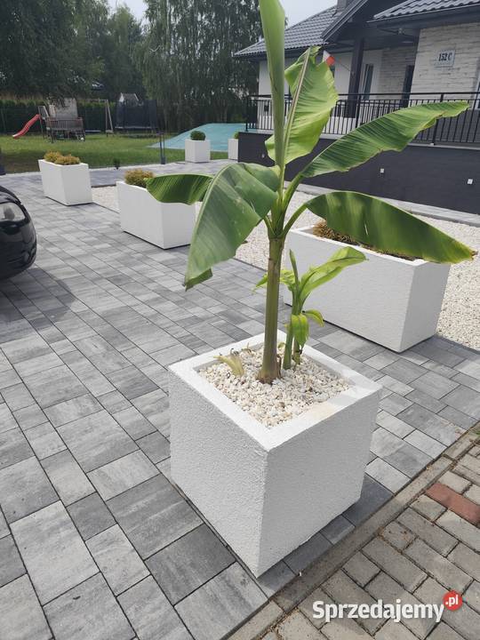 Thermo donica ogrodowa Nowoczesna Lekka Jodłówka-Wałki