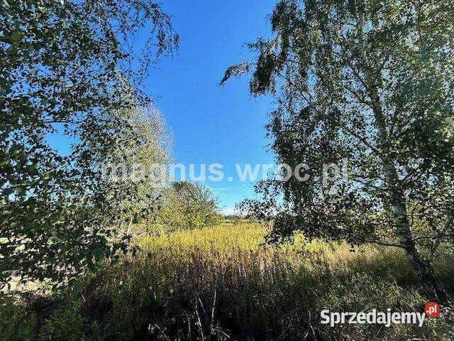 Duża działka na leśnym osiedlu w Miłoszycach Miłoszyce