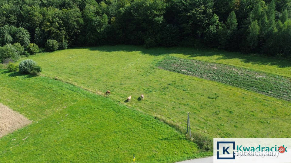 Grunt do sprzedania Łęki Dukielskie 5100 metrów 5100m2 podkarpackie