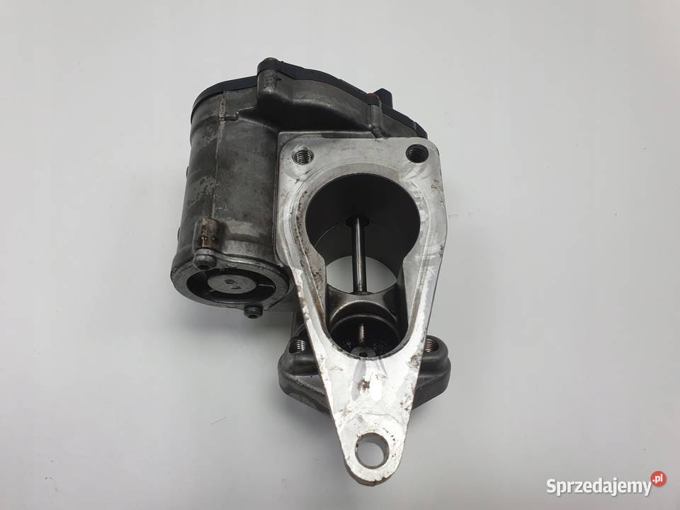 Renault Laguna II 19 DCI ZAWÓR EGR H8200194323 osobowe Chełm