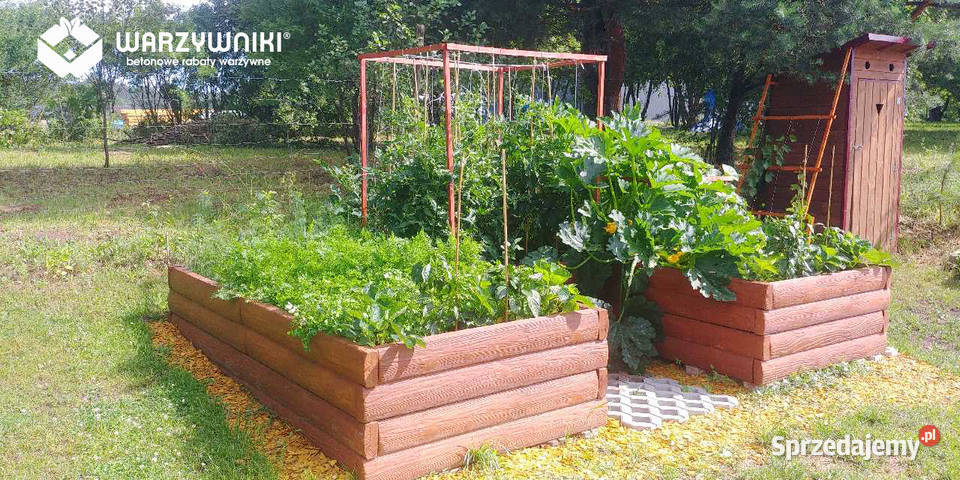 Ekologiczny warzywniak betonowy Zielnik Inspekt Kraków