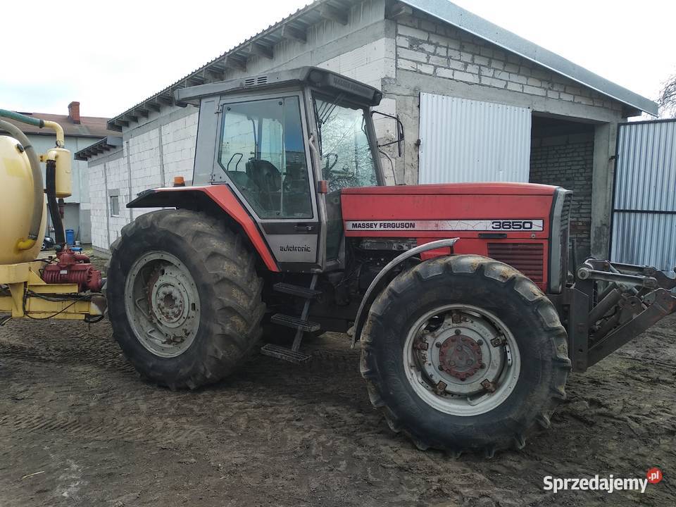Ferguson MF 3650 sprawny TUZ 150 koni Działdowo