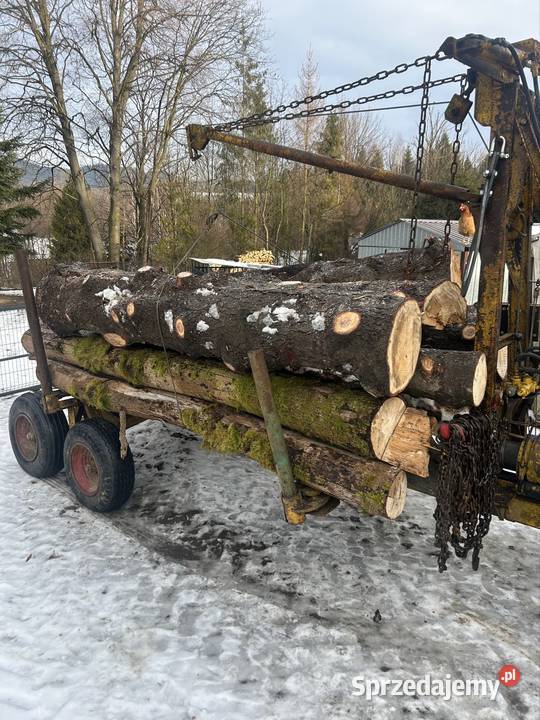Przyczepa leśna Jordanów sprzedam
