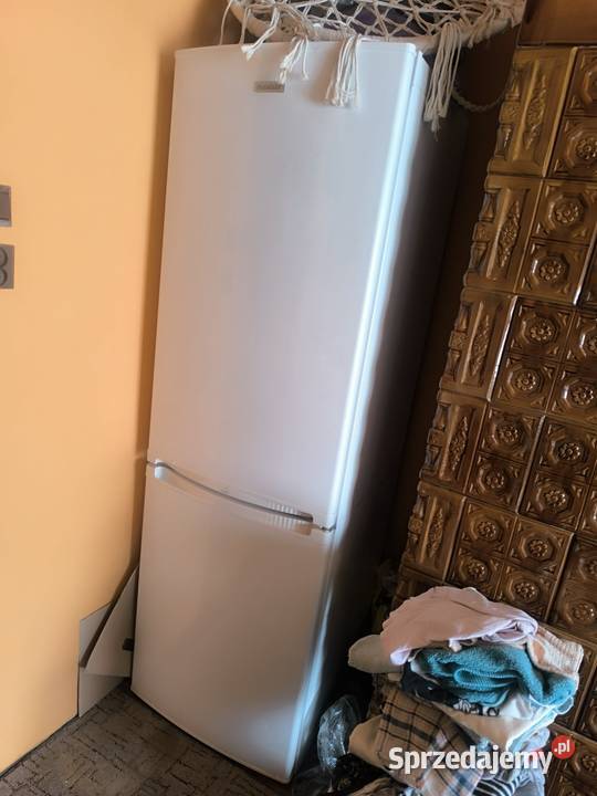 Lodówka Polar 188 60cm Lodówki i zamrażarki podkarpackie Rudnik nad Sanem