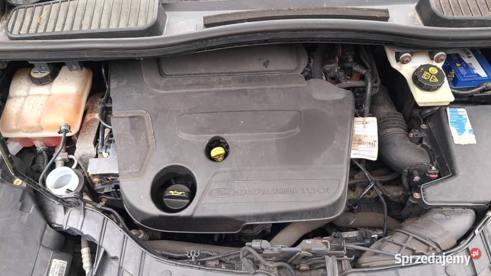 sprzedam zamienie zamiana świeżak w polsce Grand C-MAX Stargard