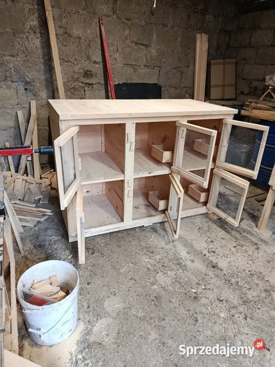 Klatki królików Króliki dolnośląskie Syców