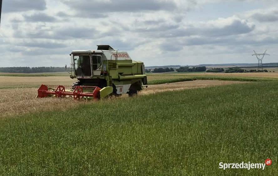 Claas Dominator 96 lubelskie Chełm
