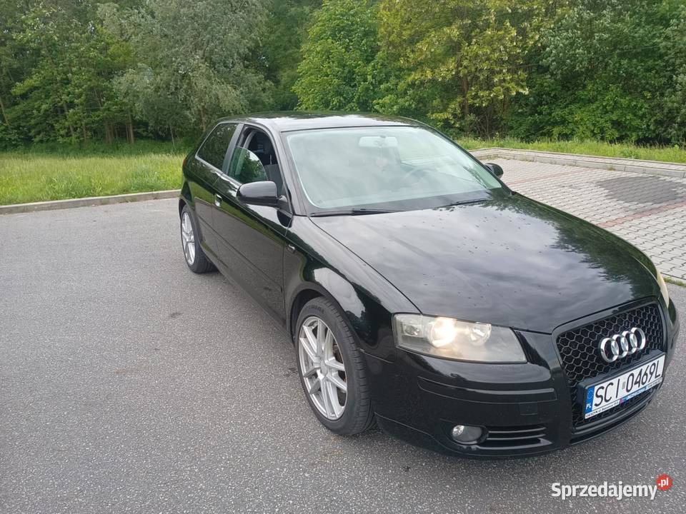 Audi A3 8P 19 TDI DPF A3 Pogwizdów