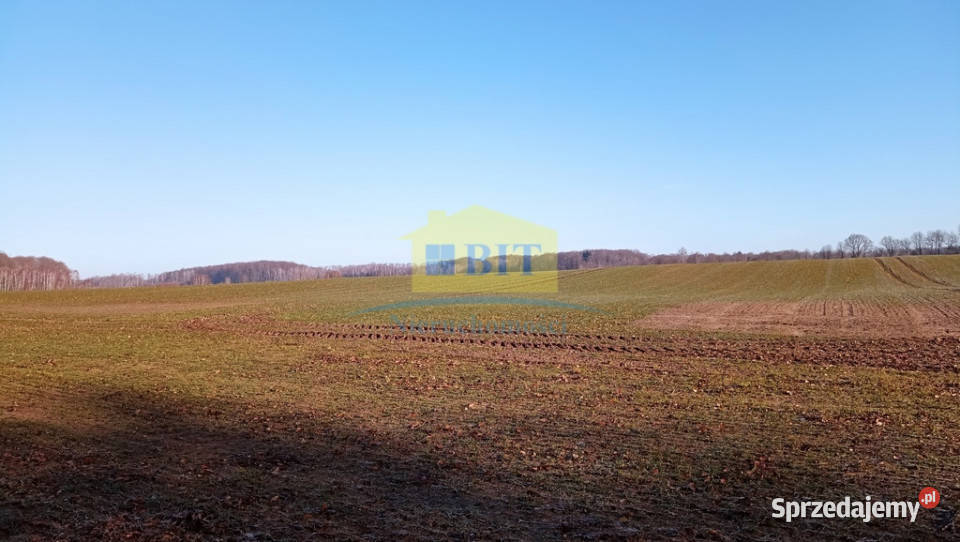 Działka 6066 m2 z dostępem do jeziora Kaleńsko Sprzedaż