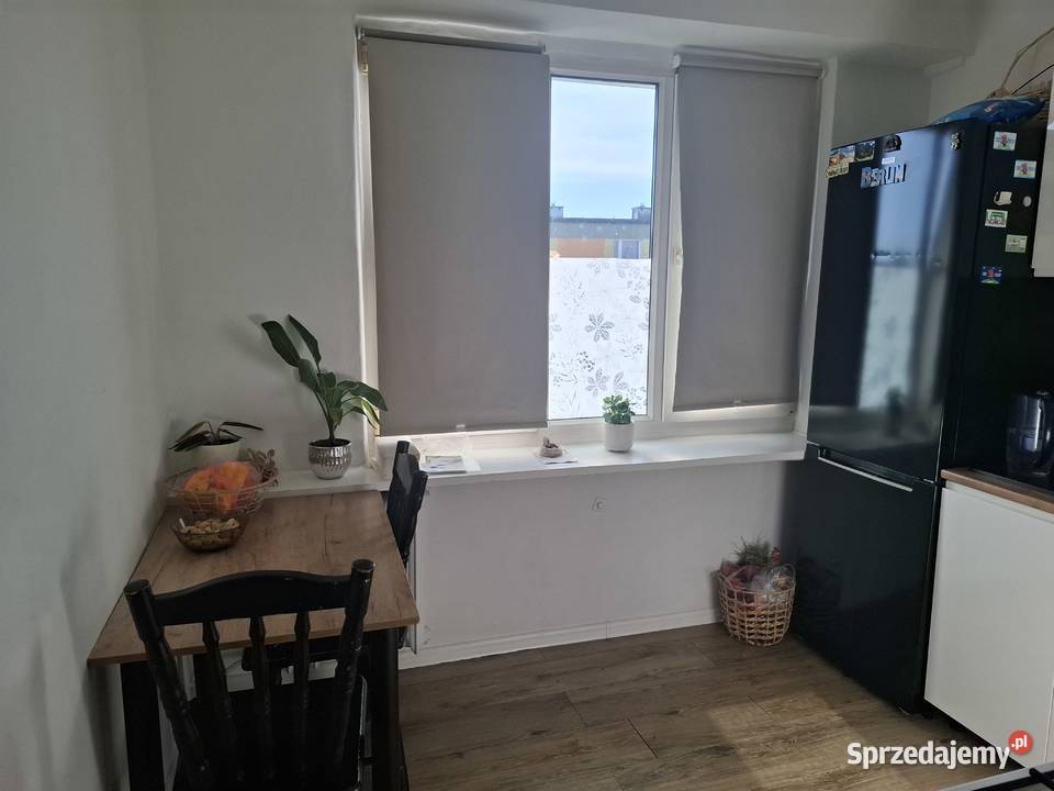 Sprzedam mieszkanie w Warce 42 m papa Warka