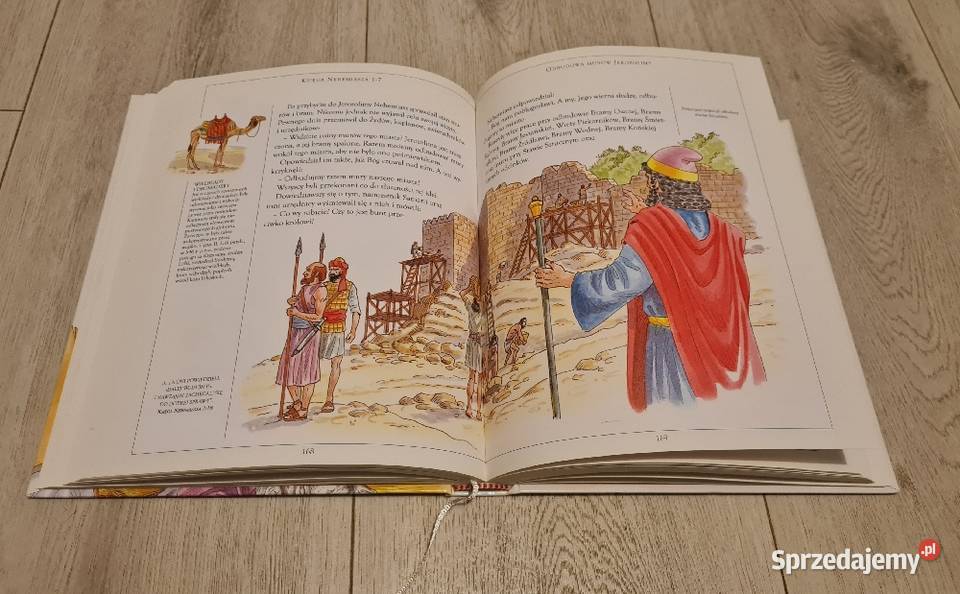 Książka Biblia ilustrowana Dzieci Łódź