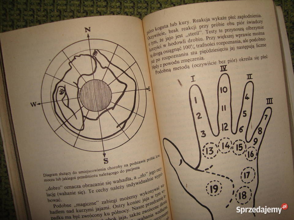 Cuda bez cudu zdrowie Korabiewicz z fotoopisem Tychy