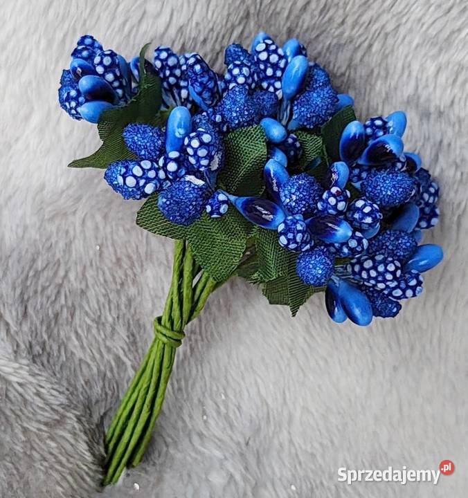 Kaszka ryżyk pęczek niebieski florystyczny pomorskie Ustka