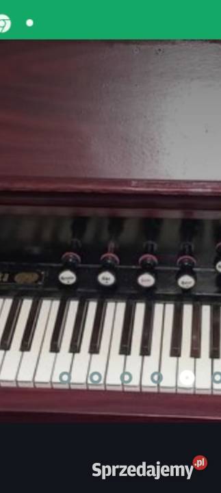 Fisharmonia Wybranski