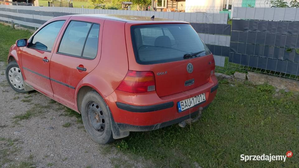 Golf nieuszkodzony Golf Suwałki