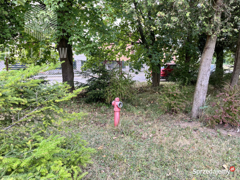 Lokal Przesiadłów 1000m2 Sprzedaż