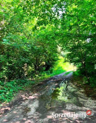 Działka budowlana drodze asfaltowej RATY Borzymów sprzedam