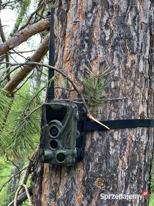 kamera obserwacyjna leśna fotopułapka 2G 20MP 1080P MMS