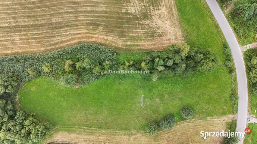 Grunt Gruszów 6200m2