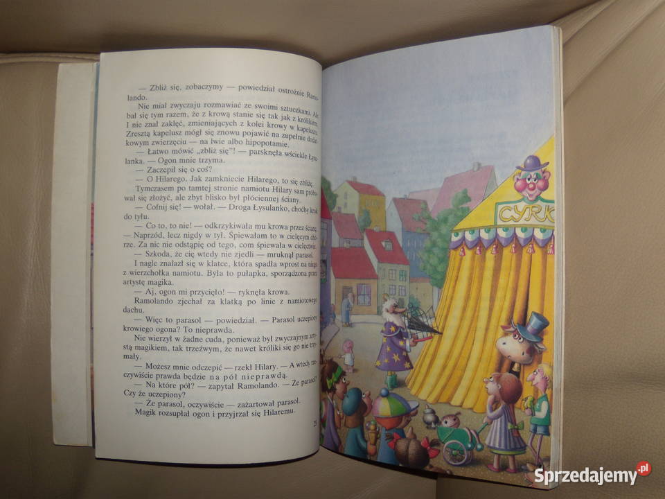 Różne rzeczy Hilarego Joanna Kulmowa Książki dla dzieci