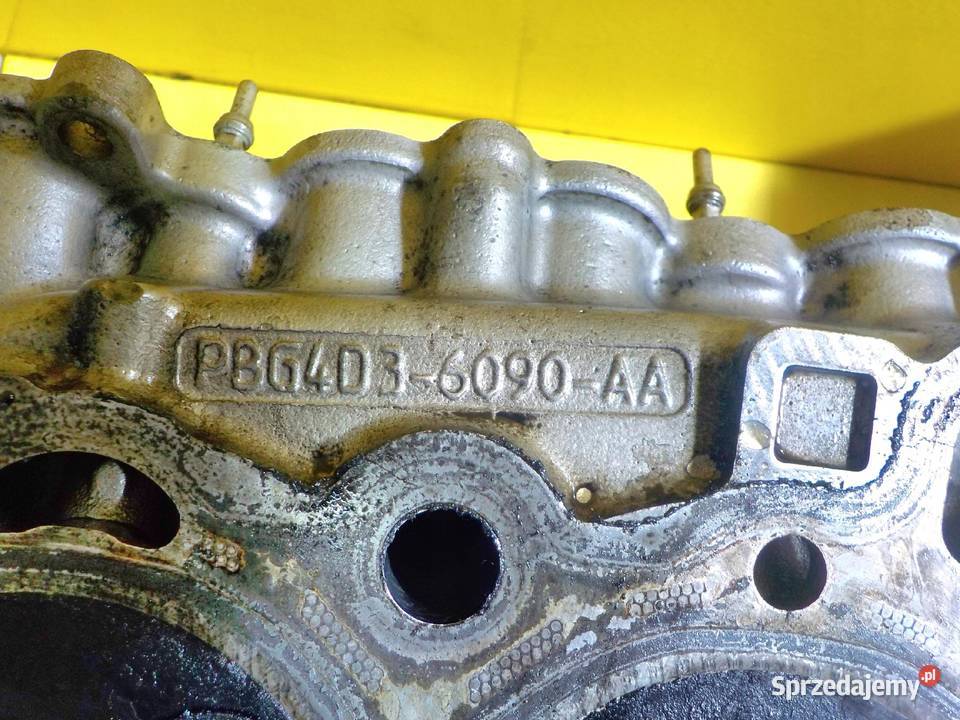 XE XF 20 D 16r 180 204DTD glowica kompletna osobowe Części samochodowe Suków