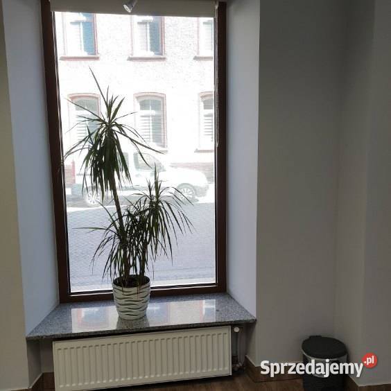 Do wynajęcia nowoczesny lokal Użytkowy handlowo-usługowy Świebodzice