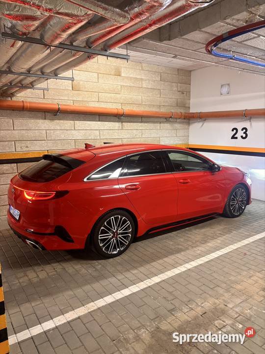 Kia Proceed GT serwisowany w ASO mazowieckie Płock