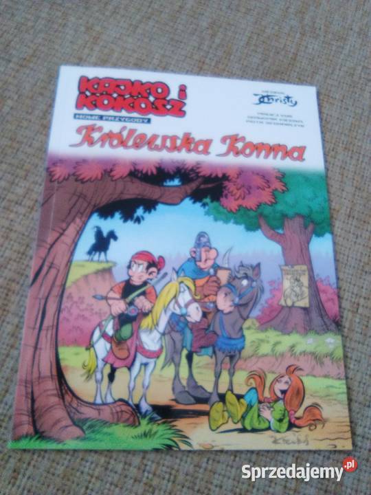 Kajko i Kokosz Nowe przygody Poznań