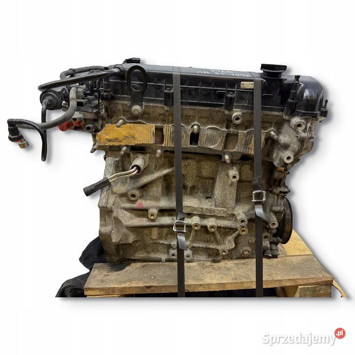 SILNIK Q7DA Ford Focus II MK2 C C 18 16V 125 osobowe lubelskie Chełm