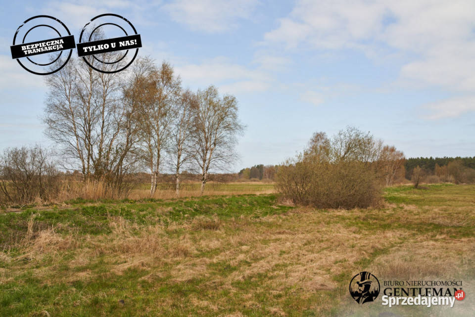 sprzedaży działki 5000m2 Dębki sprzedam