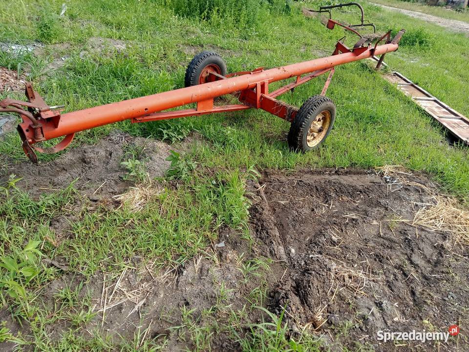 wózek bizon Krzemienica