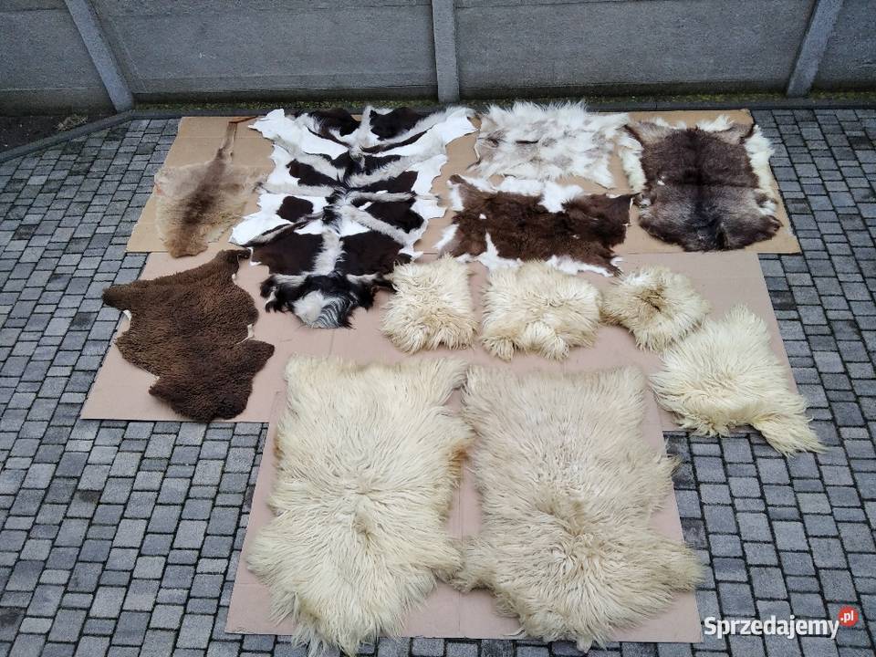 Skóra naturalna dekoracja dywanik chodnik wielkopolskie Gniezno sprzedam