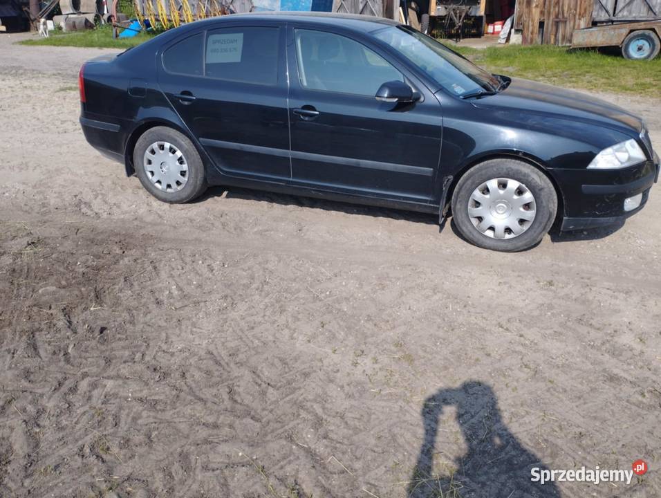 Skoda Octawia Elegance 2007 257000km Kropiewnica-Gajki