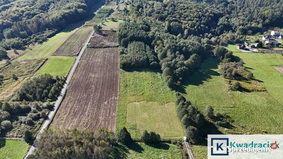 Działka Sieklówka 12304m2 12304m2