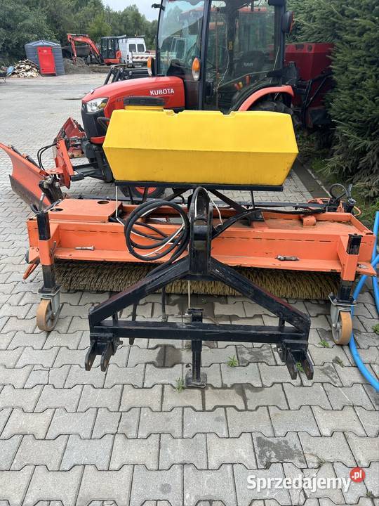 Zamiatarka zapinaną Agata Gromnik