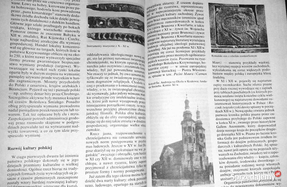 Historia Polski do roku 1975 Henryk Samsonowicz Chełm