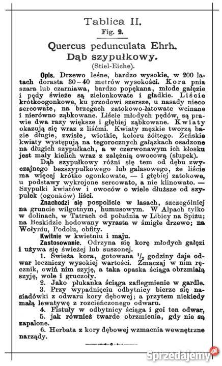 Ks SKNEIPP ZIELNIK Atlas roślin leczniczych Wyd Kozienice