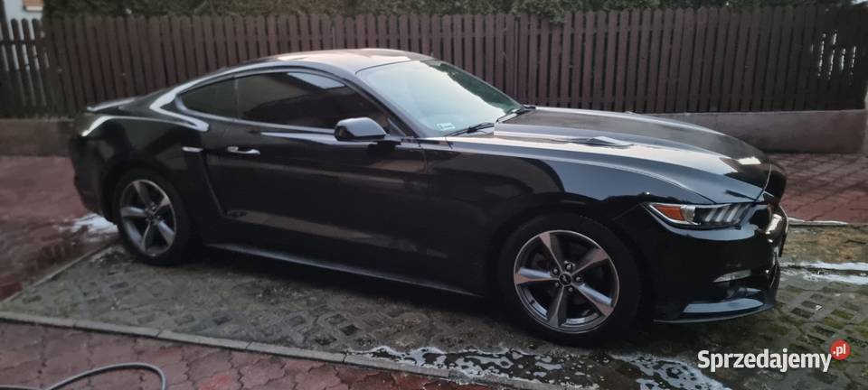 Sprzedam Forda Mustanga 37 z 2015 roku łopatki zmiany biegów małopolskie Bolesław