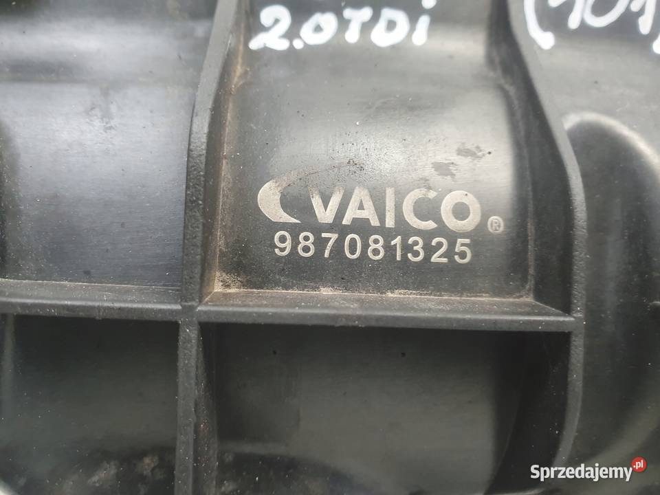 VW Tiguan 20 TDI KOLEKTOR SSĄCY 987081325 osobowe Chełm