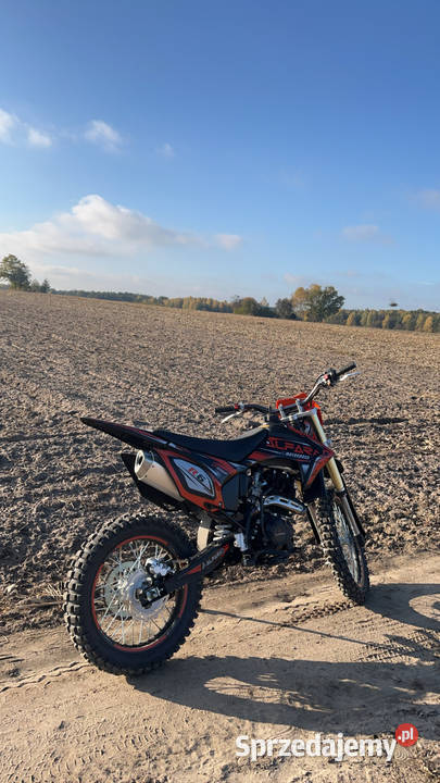 alfarad cross 250 Węgrów sprzedam