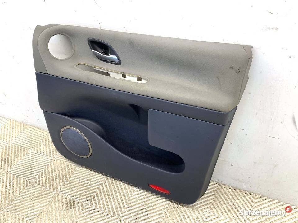 BOCZEK DRZWI PRAWY PRZÓD RENAULT ESPACE IV Van sprzedam