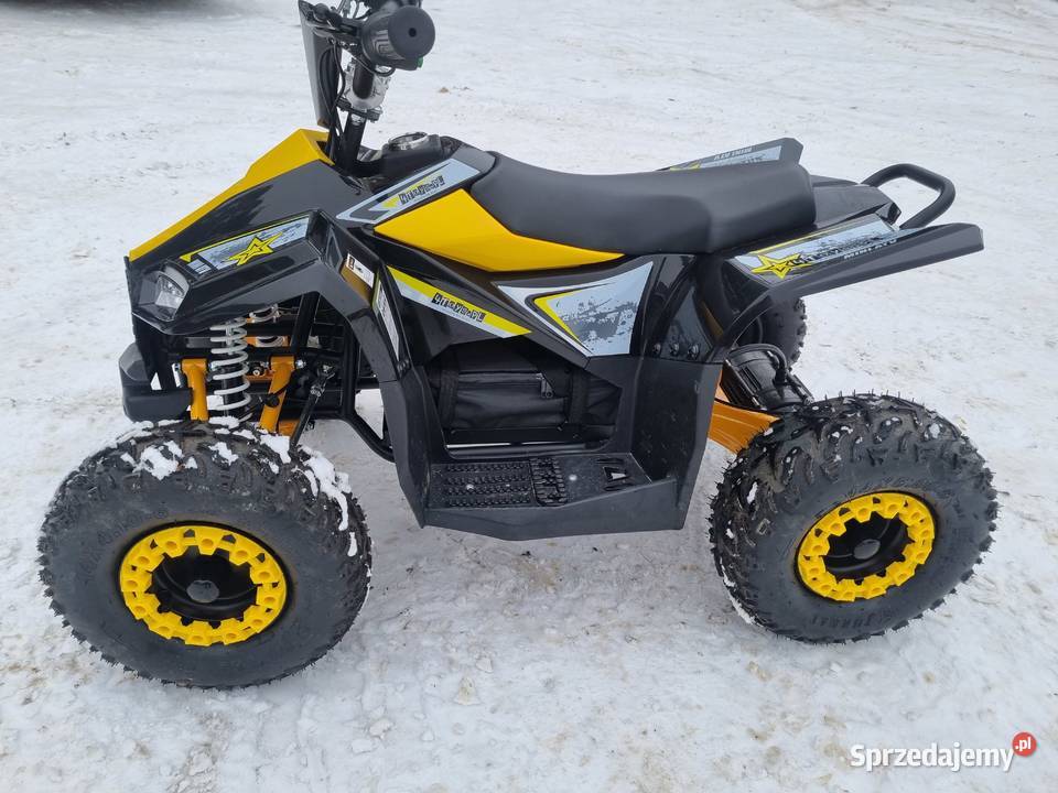Quad elektryczny 48v 2025r Pozostałe