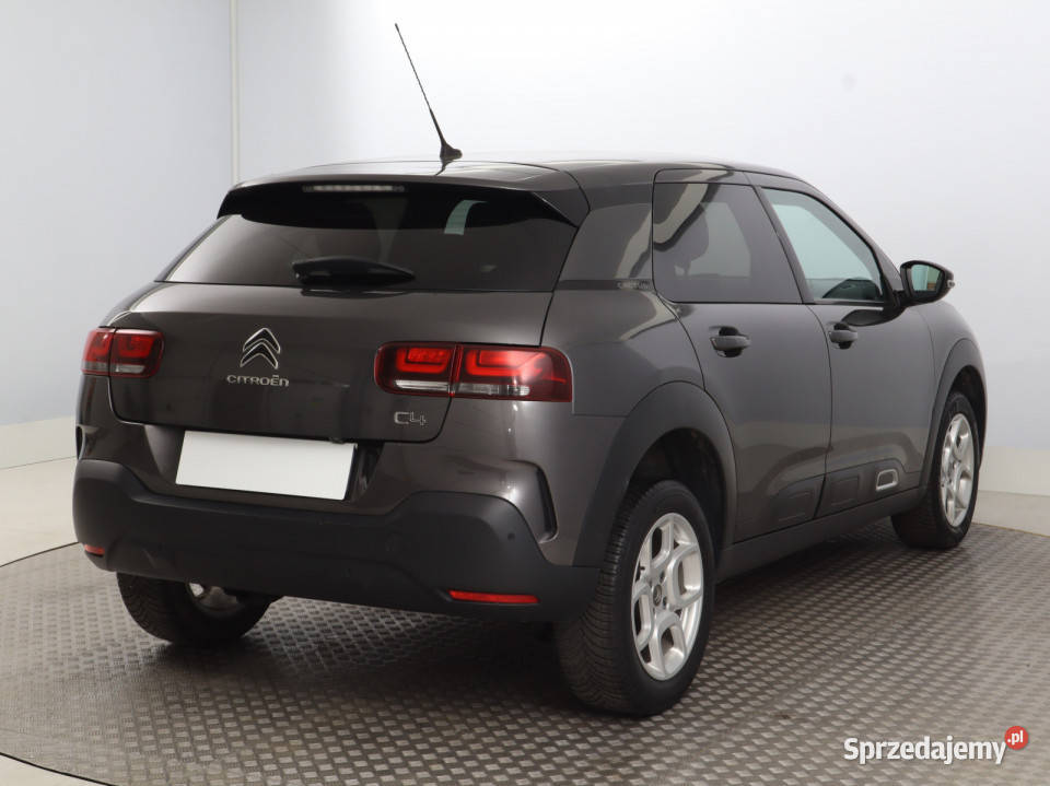 Citroen C4 Cactus 12 PureTech komputer pokładowy Bielany Wrocławskie