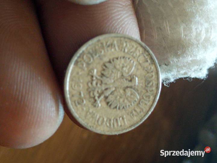 Sprzedam 10 gr 1972 r zzm Chełm